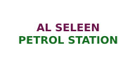Al Seleen Petrol Station